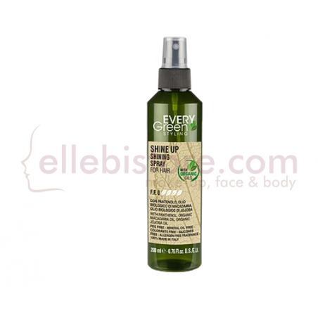 Every Green - Styling Shine Up - Spray Lucidante Per Capelli - 200 ML - Dikson